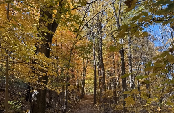 Red Mill County Park photo 2